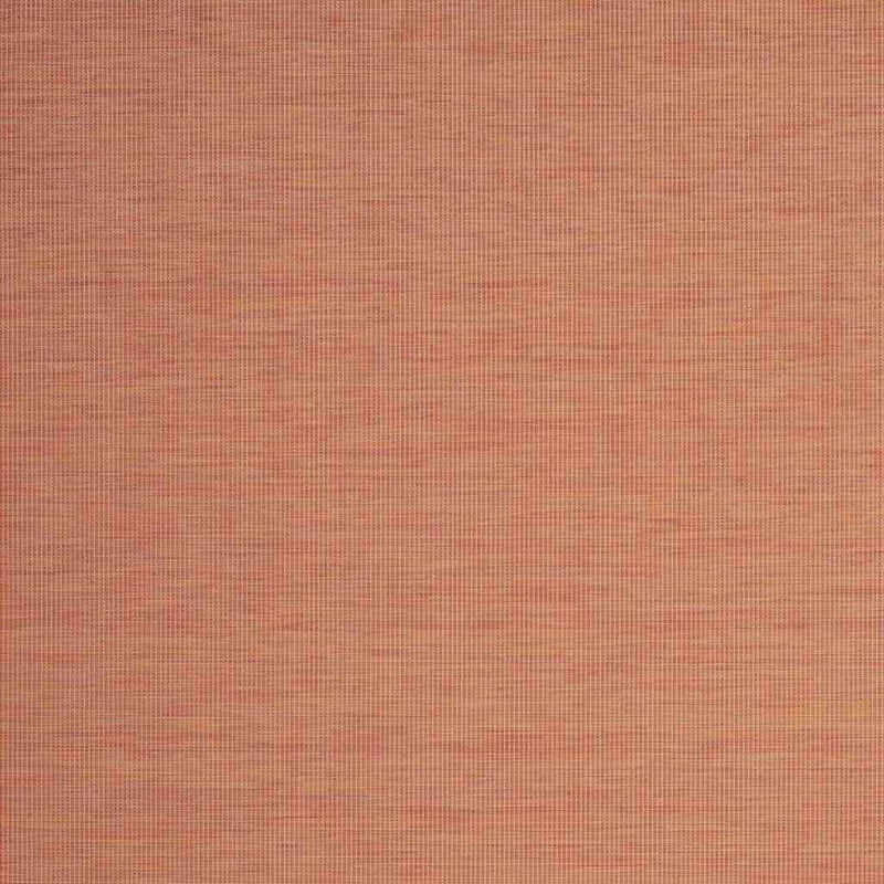 230032432