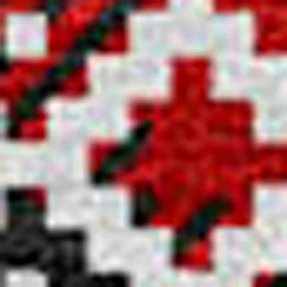 251457611