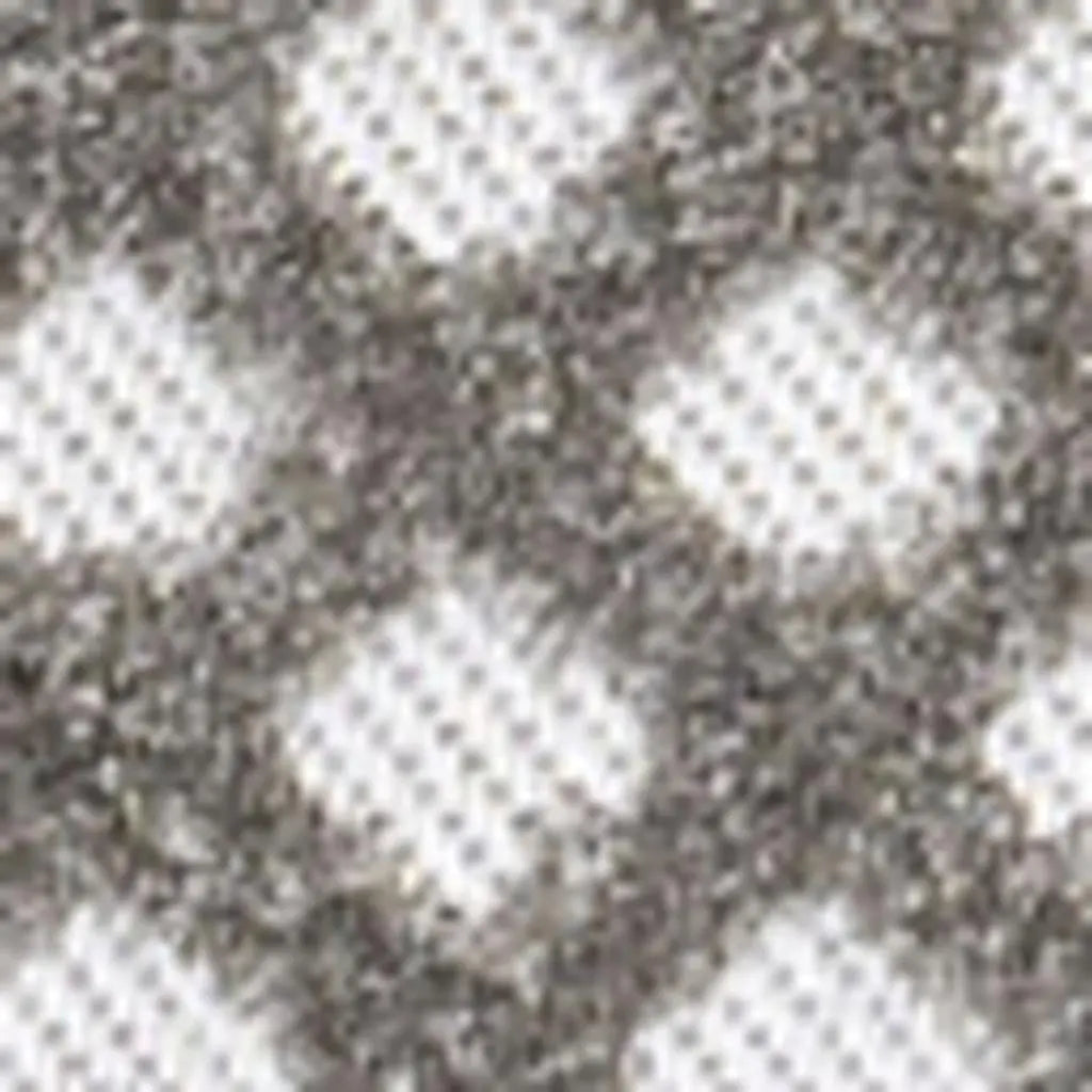 8' X 10' Dark Gray And Ivory Trellis Indoor Outdoor Area Rug - GreatEagleInc