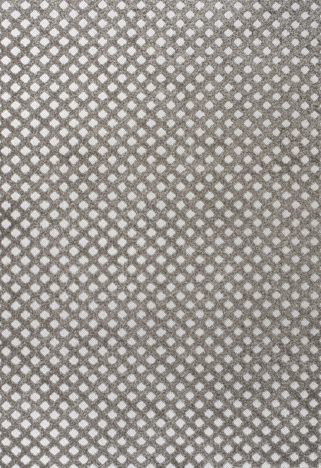 8' X 10' Dark Gray And Ivory Trellis Indoor Outdoor Area Rug - GreatEagleInc