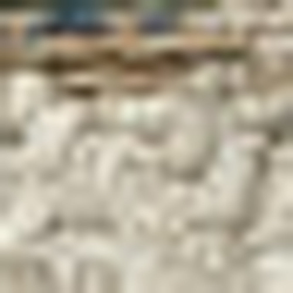 8' X 10' Gray Oriental Stain Resistant Indoor Outdoor Area Rug Homeroots Outdoor