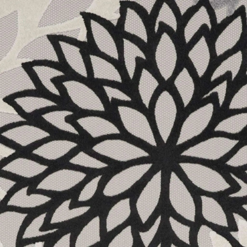 244204315