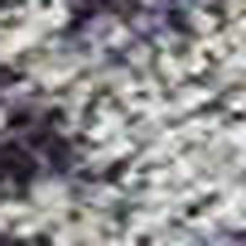 264068558