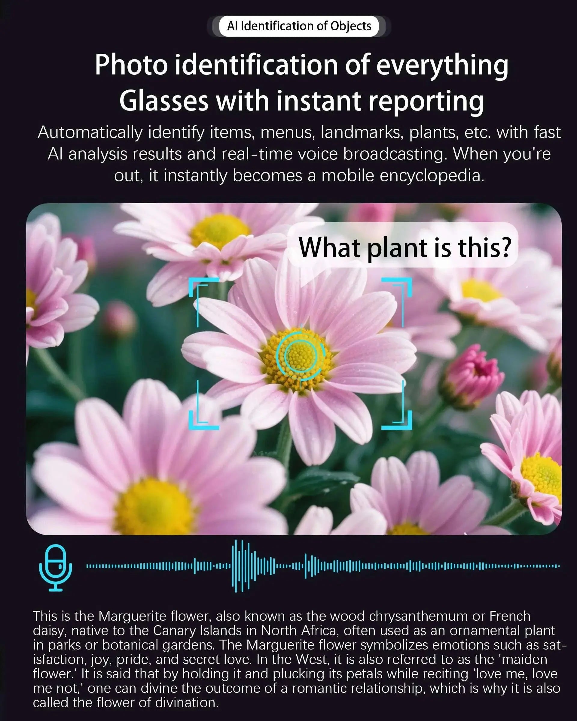 See38e2a2737848878d5ca6f6ba70006dN