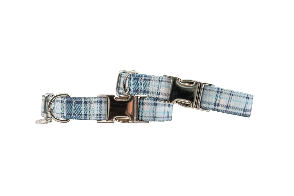 Adjustable Collar Urban Dog Stars