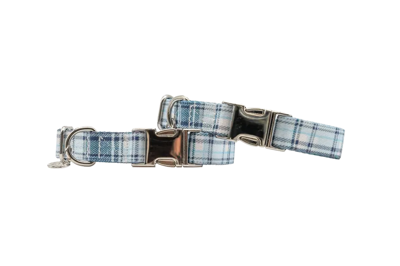 Adjustable Collar Urban Dog Stars