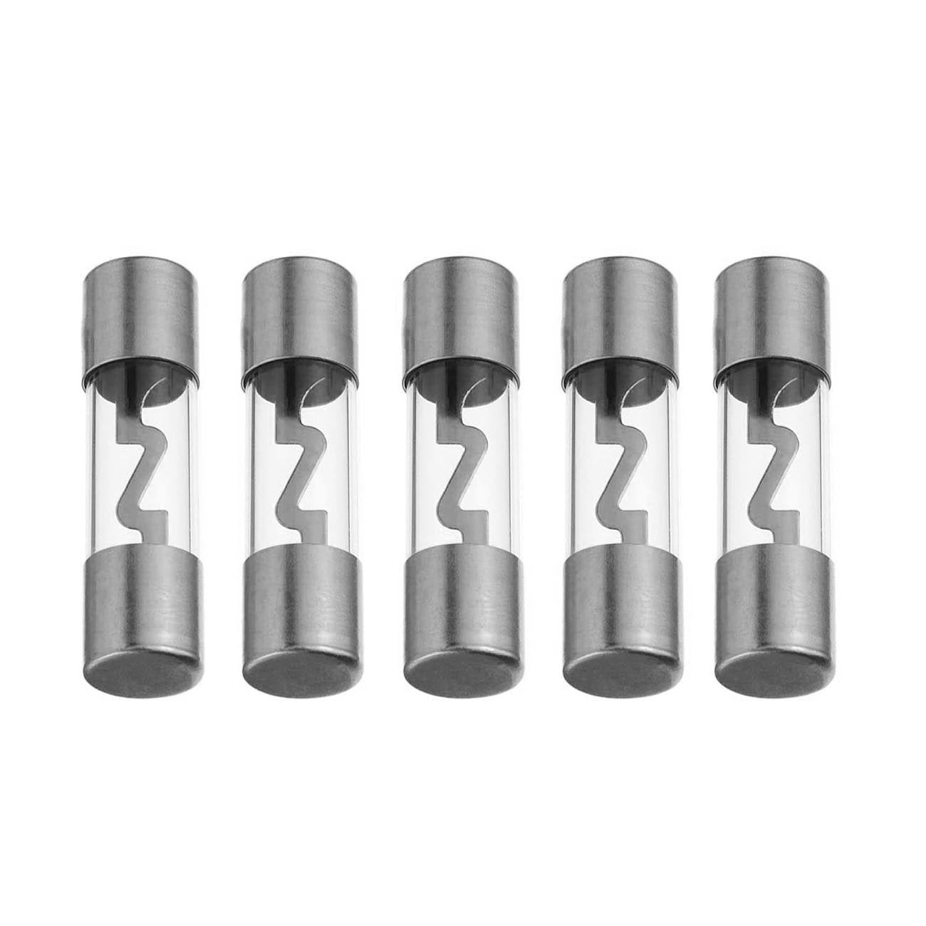 Agu Fuses 100amp 5pk Platinum Xscorpion Xscorpion