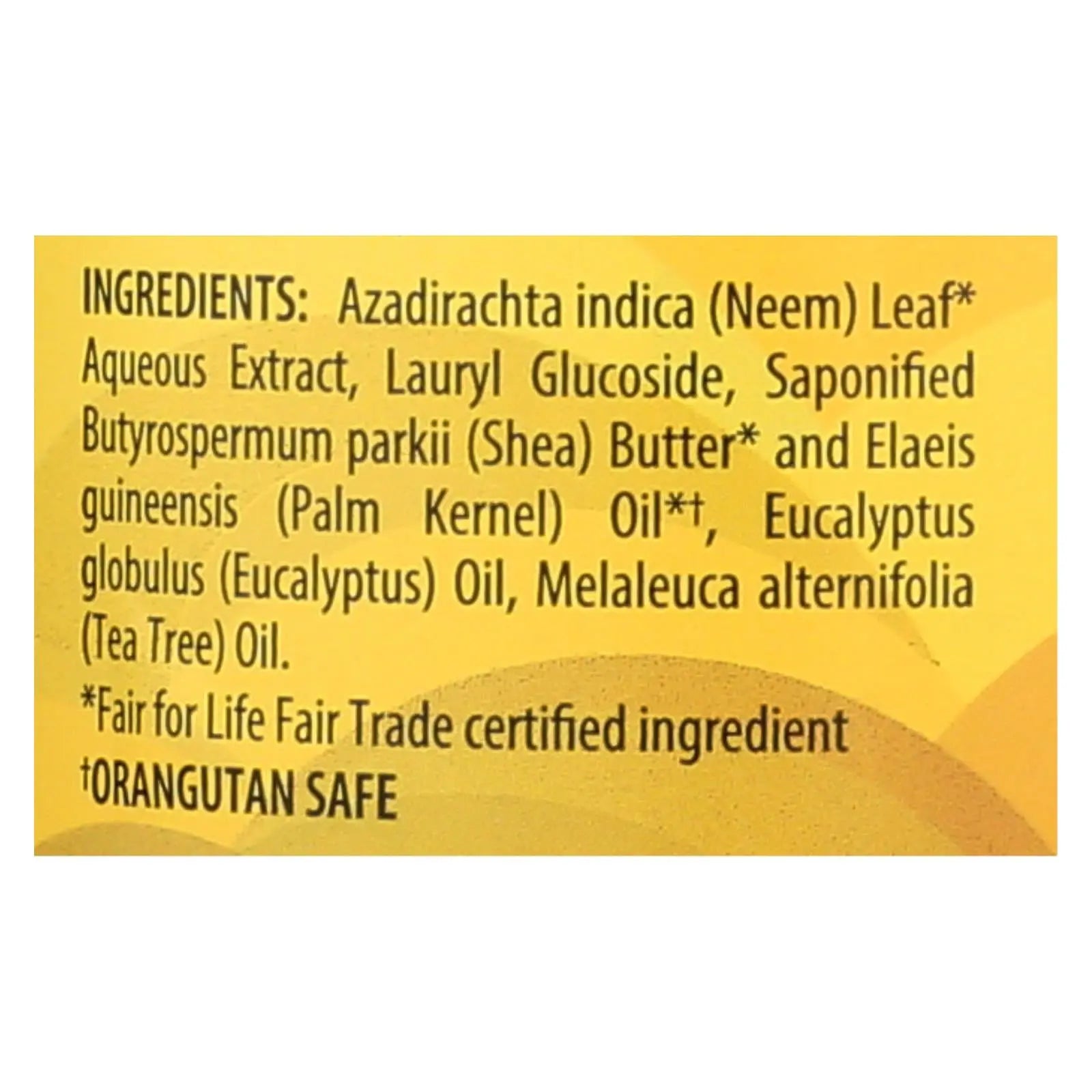 Alaffia - African Black Soap - Eucalyptus Tea Tree - 32 Fl Oz. Alaffia