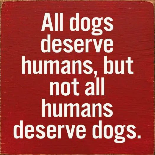 All dogs deserve humans, but not all humans deserve dogs. Sawdust City