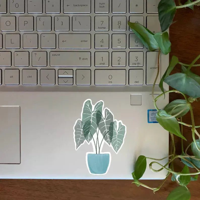 Alocasia Sticker The Crafted Prints