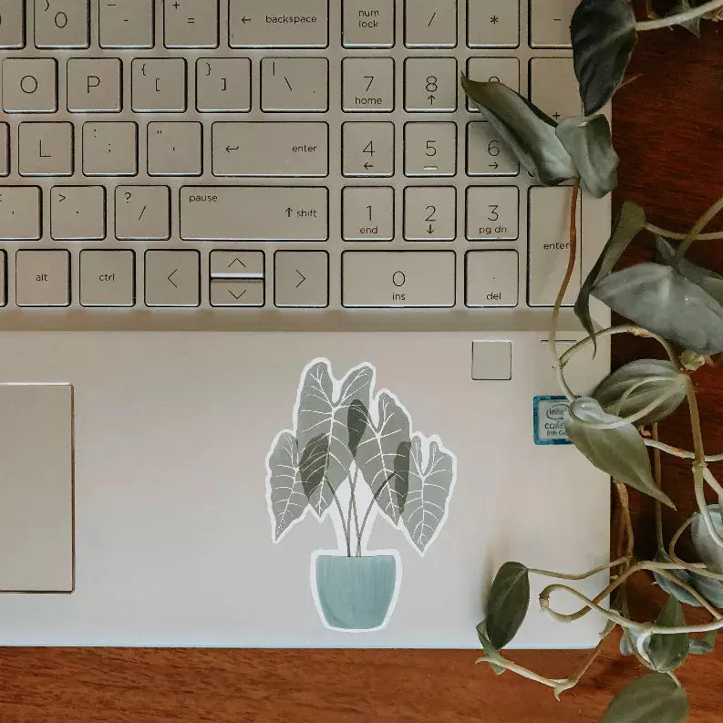 Alocasia Sticker The Crafted Prints