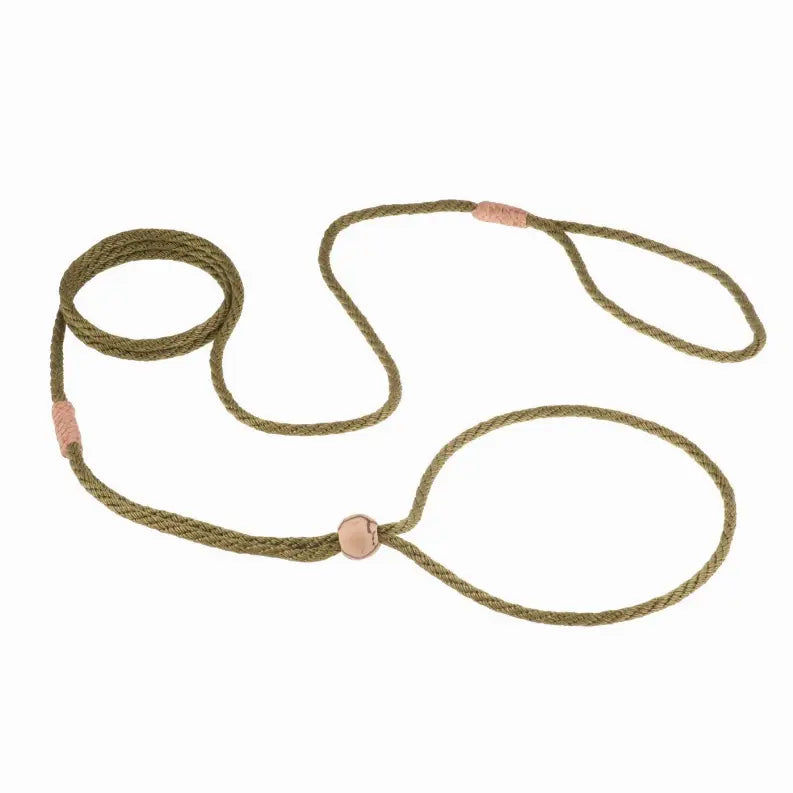 Alvalley Nylon Adjustable Loop Lead Alvalley LLC