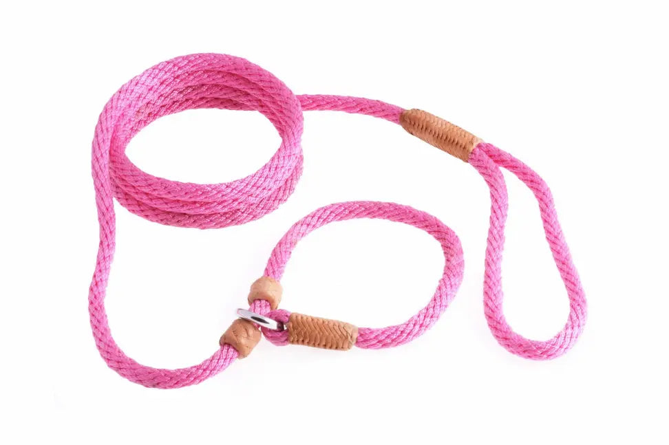 Alvalley Nylon Slip Leash With 2 Stoppers Alvalley LLC