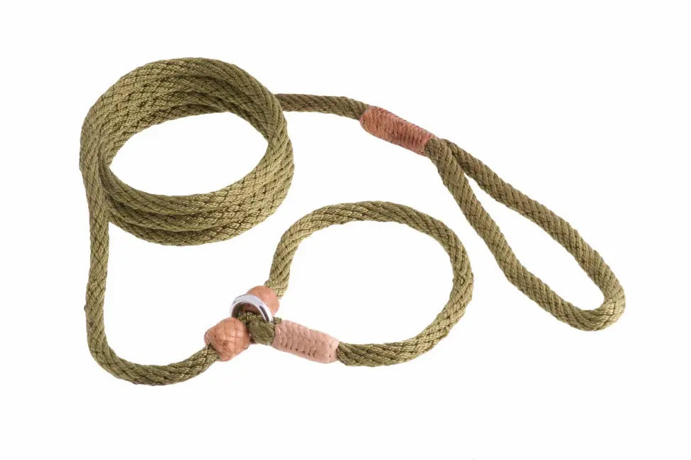 Alvalley Nylon Slip Leash With 2 Stoppers Alvalley LLC