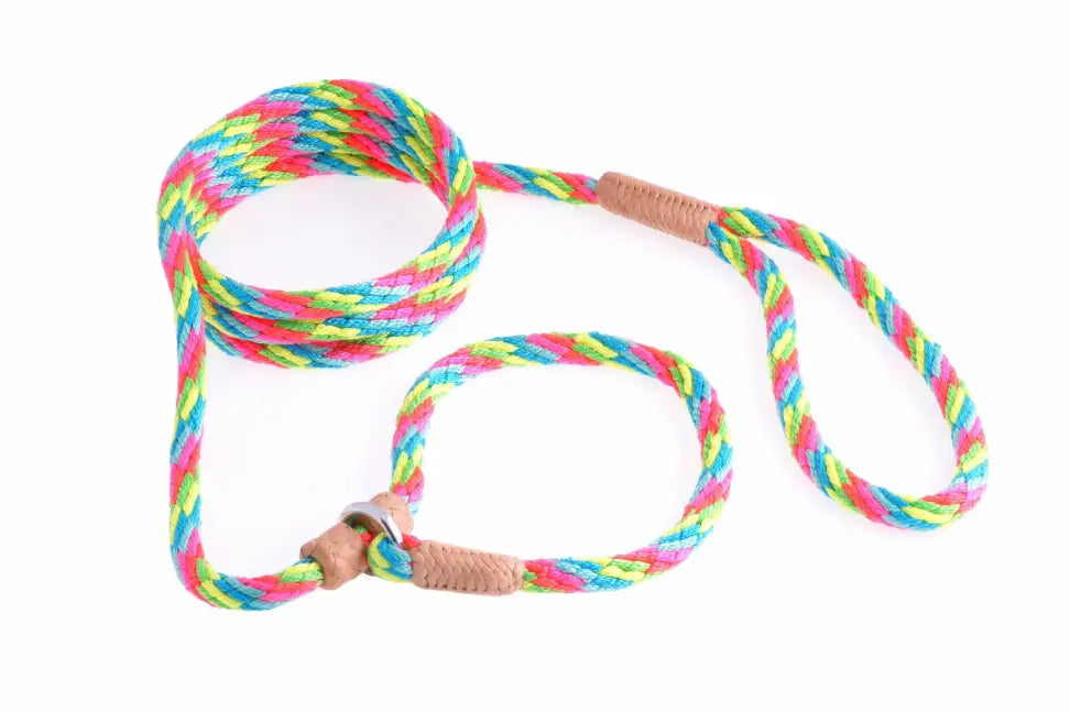 Alvalley Nylon Slip Leash With 2 Stoppers Alvalley LLC