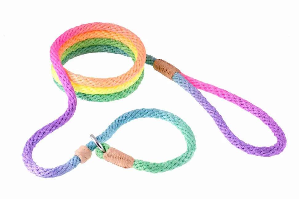 Alvalley Nylon Slip Leash With 2 Stoppers Alvalley LLC