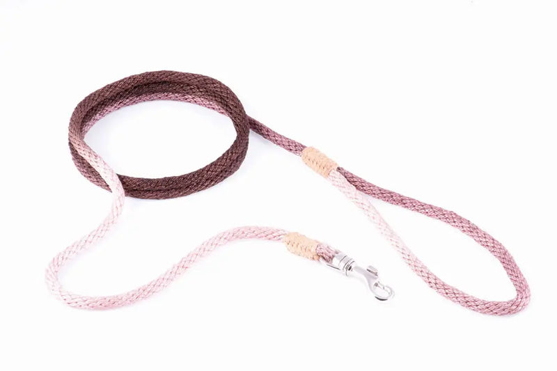 Alvalley Nylon Snap Leads Alvalley LLC