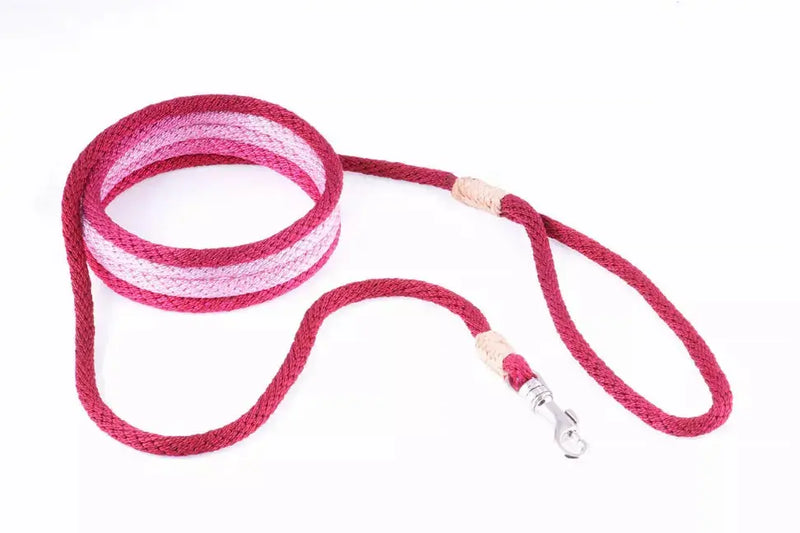 Alvalley Nylon Snap Leads Alvalley LLC