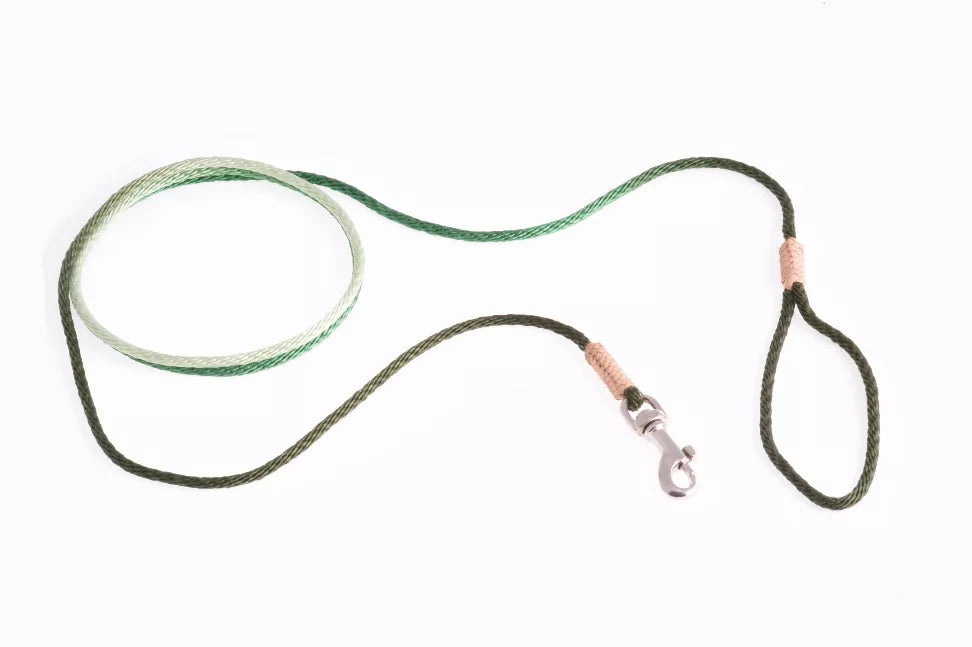 Alvalley Nylon Snap Leads - GreatEagleInc