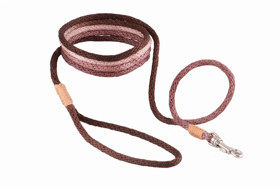 Alvalley Nylon Snap Leads Alvalley LLC