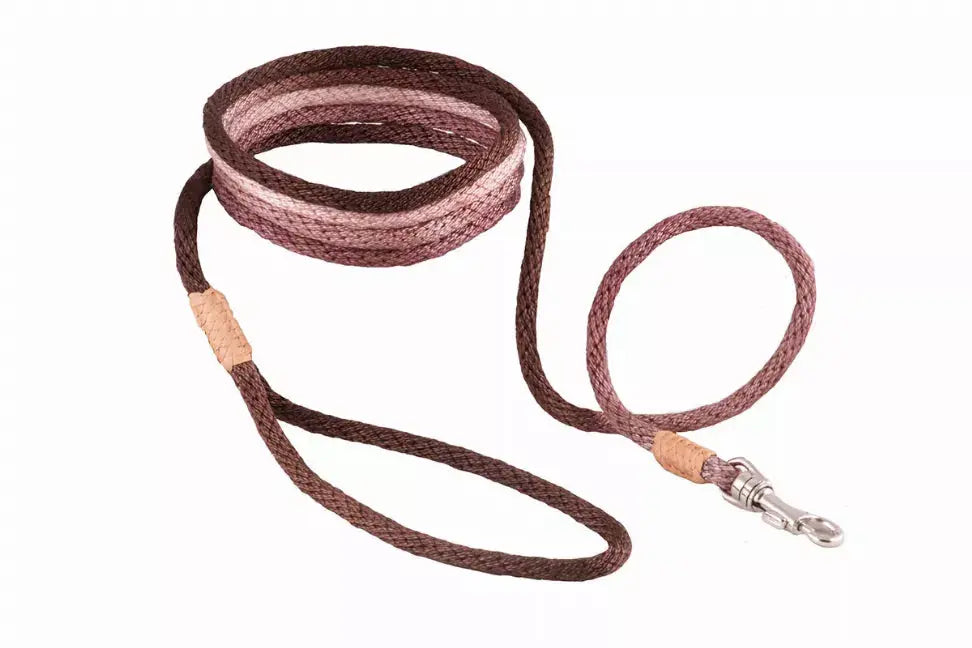 Alvalley Nylon Snap Leads Alvalley LLC