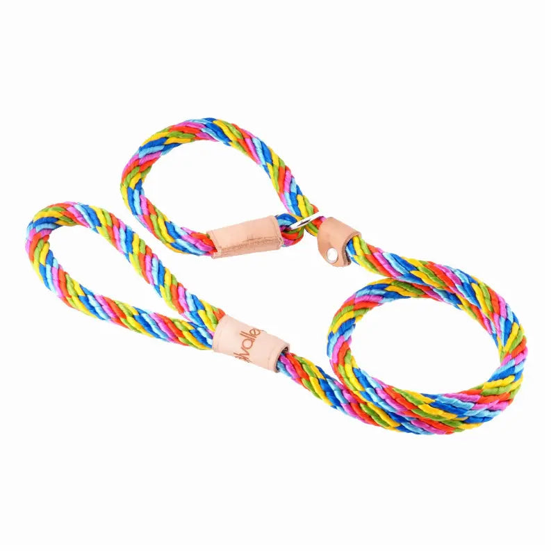Alvalley Sport Slip Lead With Stopper Alvalley LLC