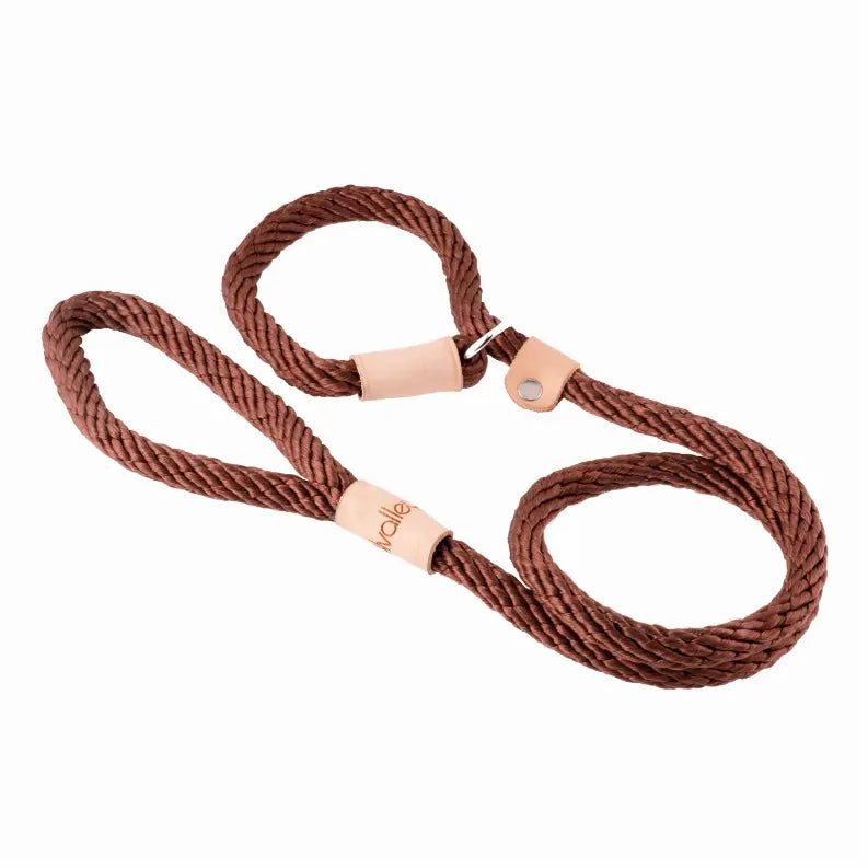 Alvalley Sport Slip Lead With Stopper Alvalley LLC
