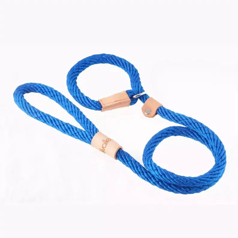 Alvalley Sport Slip Lead With Stopper Alvalley LLC