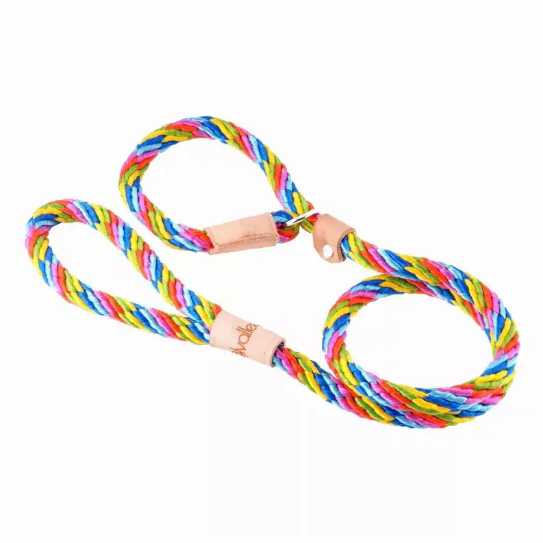 Alvalley Sport Slip Lead With Stopper Alvalley LLC