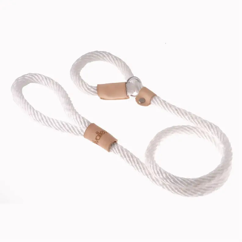 Alvalley Sport Slip Lead With Stopper Alvalley LLC