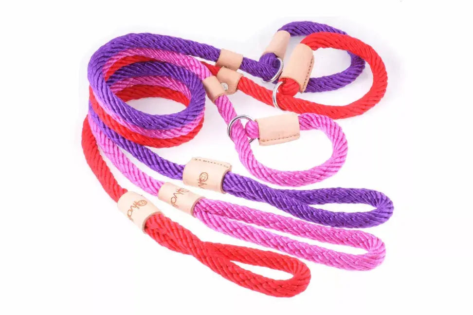 Alvalley Sport Slip Lead With Stopper Alvalley LLC