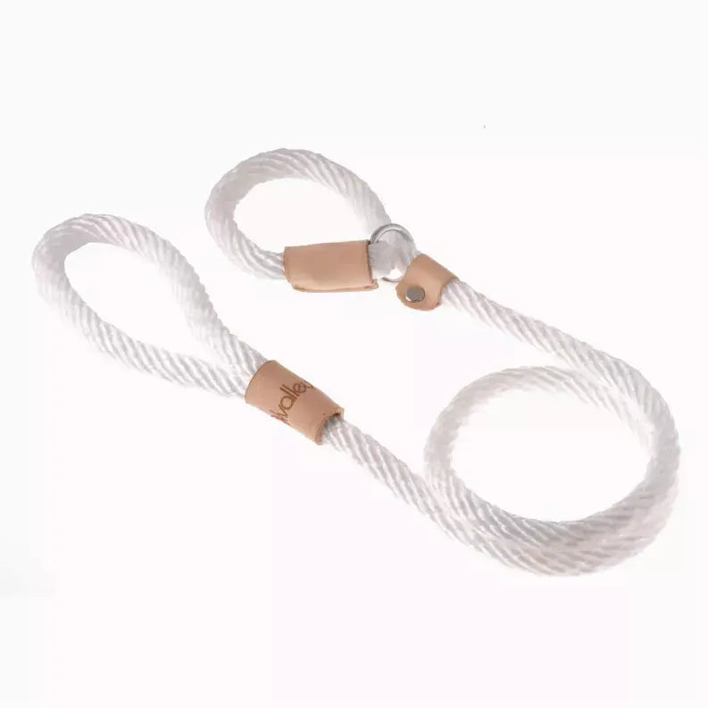Alvalley Sport Slip Lead With Stopper Alvalley LLC