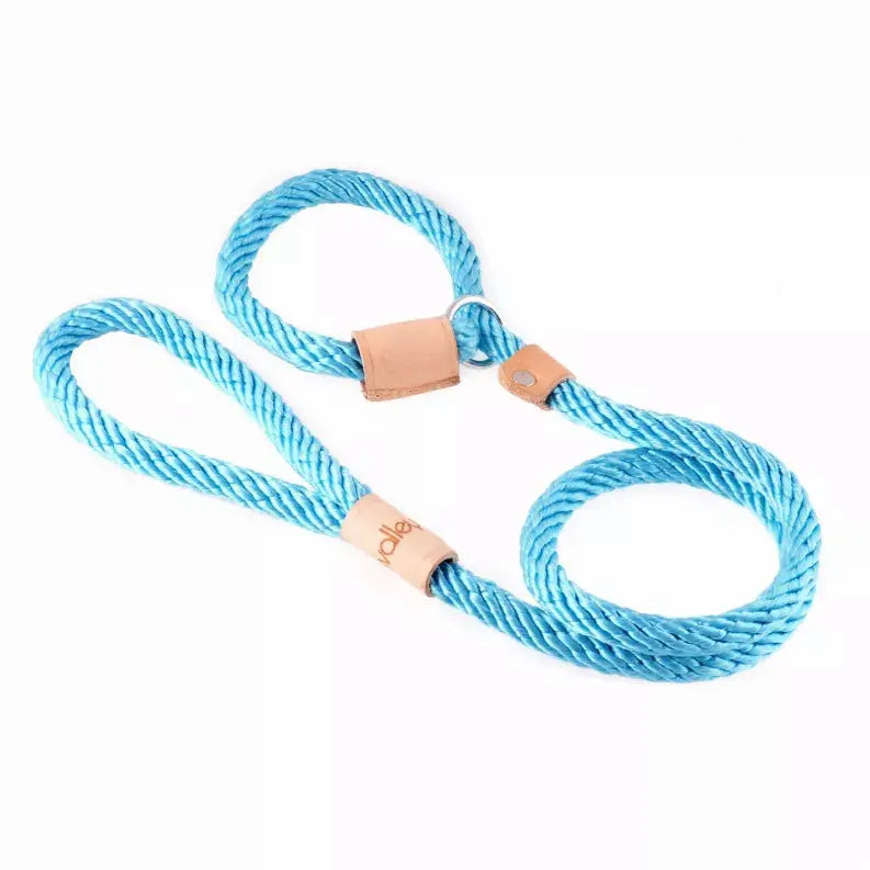 Alvalley Sport Slip Lead With Stopper Alvalley LLC