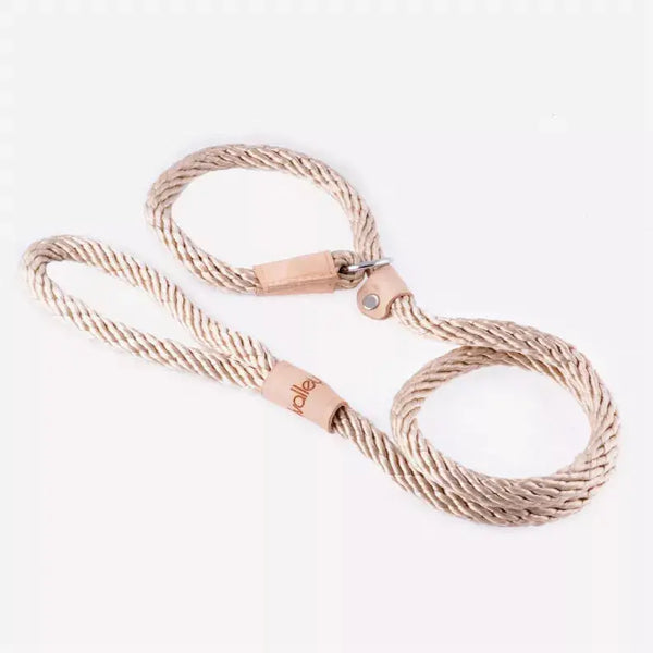 Alvalley Sport Slip Lead With Stopper Alvalley LLC