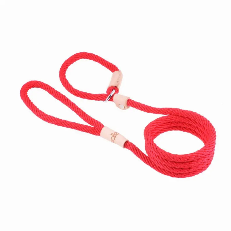 Alvalley Sport Slip Lead With Stopper Alvalley LLC
