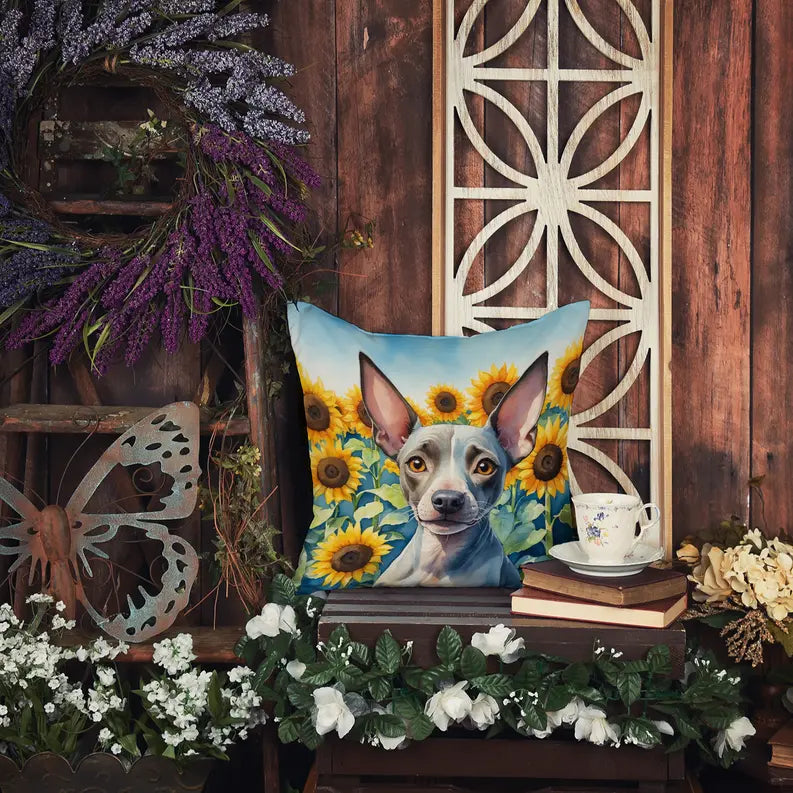 American Hairless Terrier in Sunflowers Pair of Pot Holders Caroline's Treasures