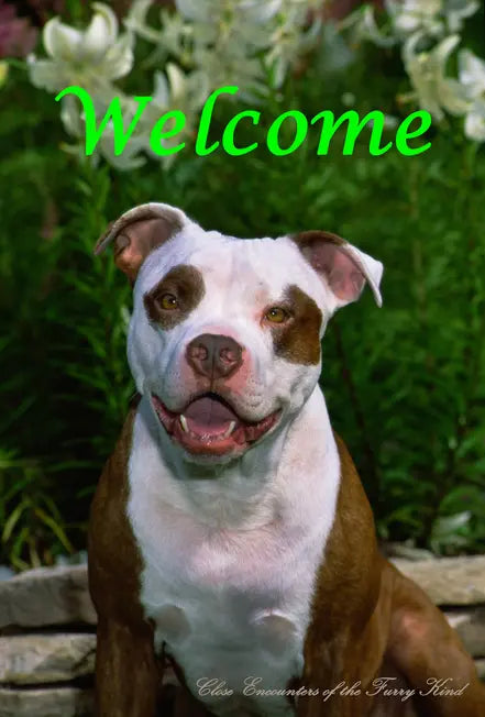 American Pit Bull - Close Encounters of the Furry Kind Welcome  House and Garden Flags Best of Breed