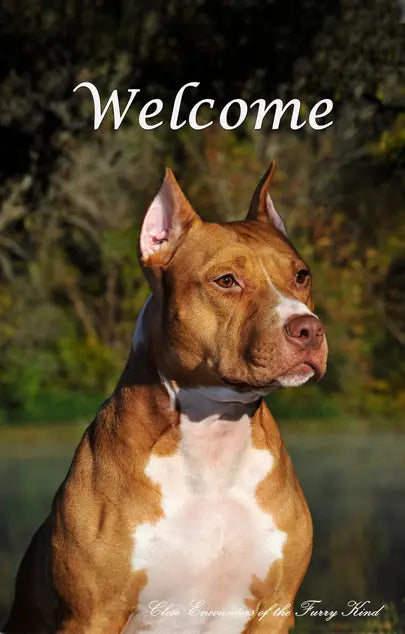 American Staffordshire - Close Encounters of the Furry Kind Welcome  House and Garden Flags Best of Breed