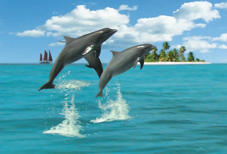 Animal - Motion Postcard Bookmark Trenz
