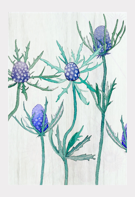 Art Print India & Purry