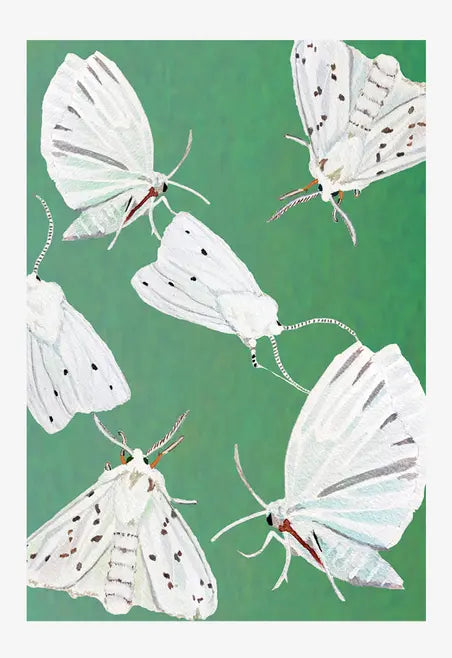 Art Print India & Purry