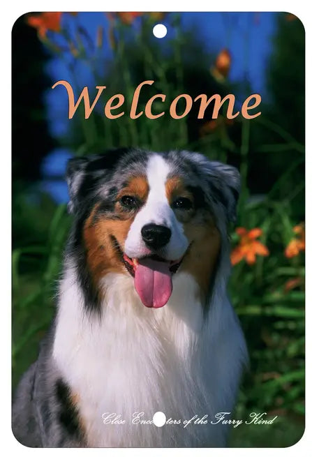 Australian Shepherd - Best of Breed  Indoor/Outdoor Aluminum Sign Best of Breed