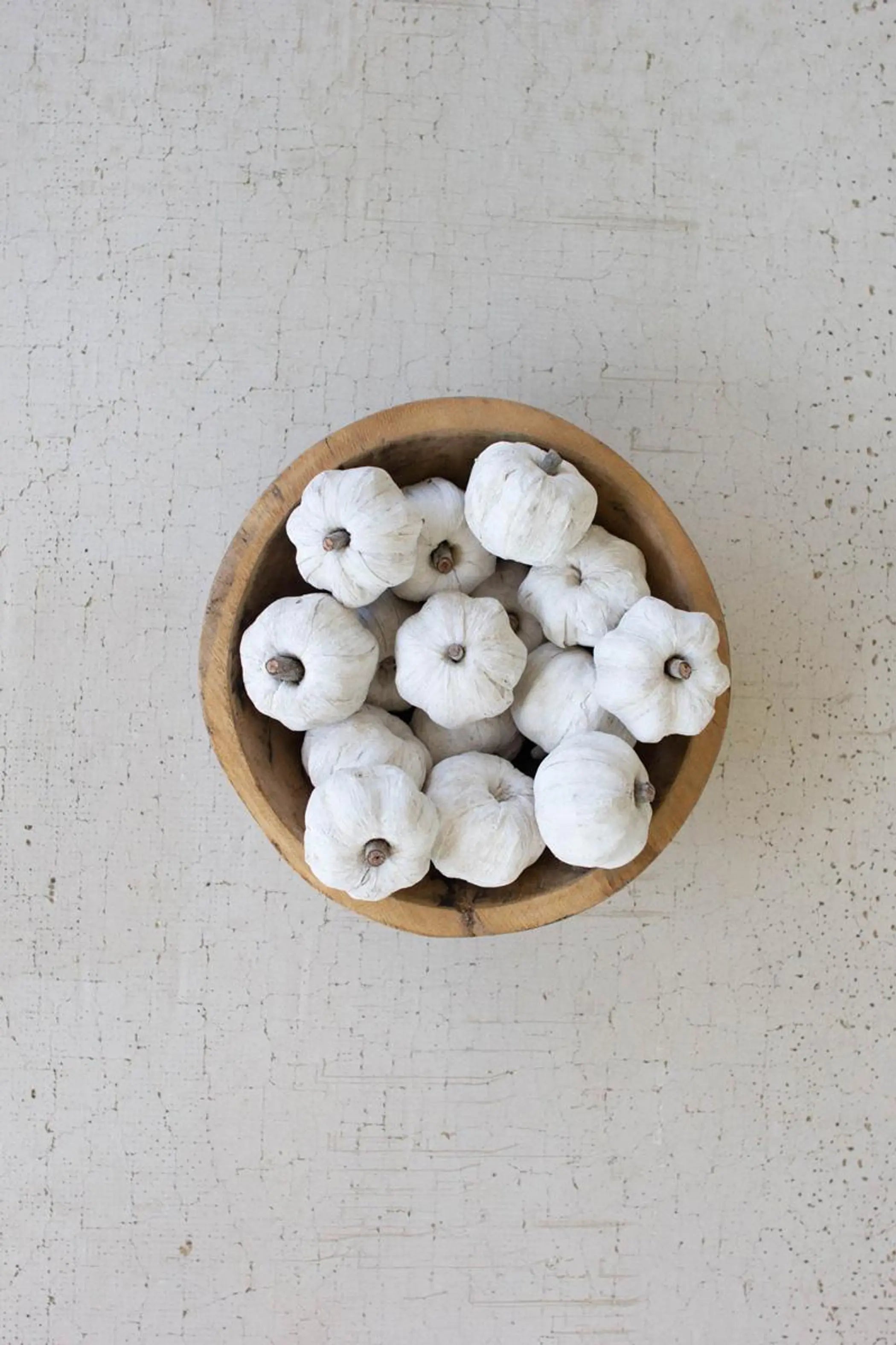 BAG OF FIFTEEN DRIED MINIATURE FAUX PUMPKINS - WHITE Kalalou