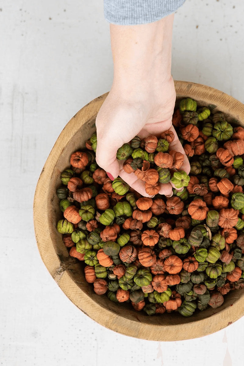BAG OF ORANGE AND GREEN PUTKA PODS - 12 OZ. Kalalou