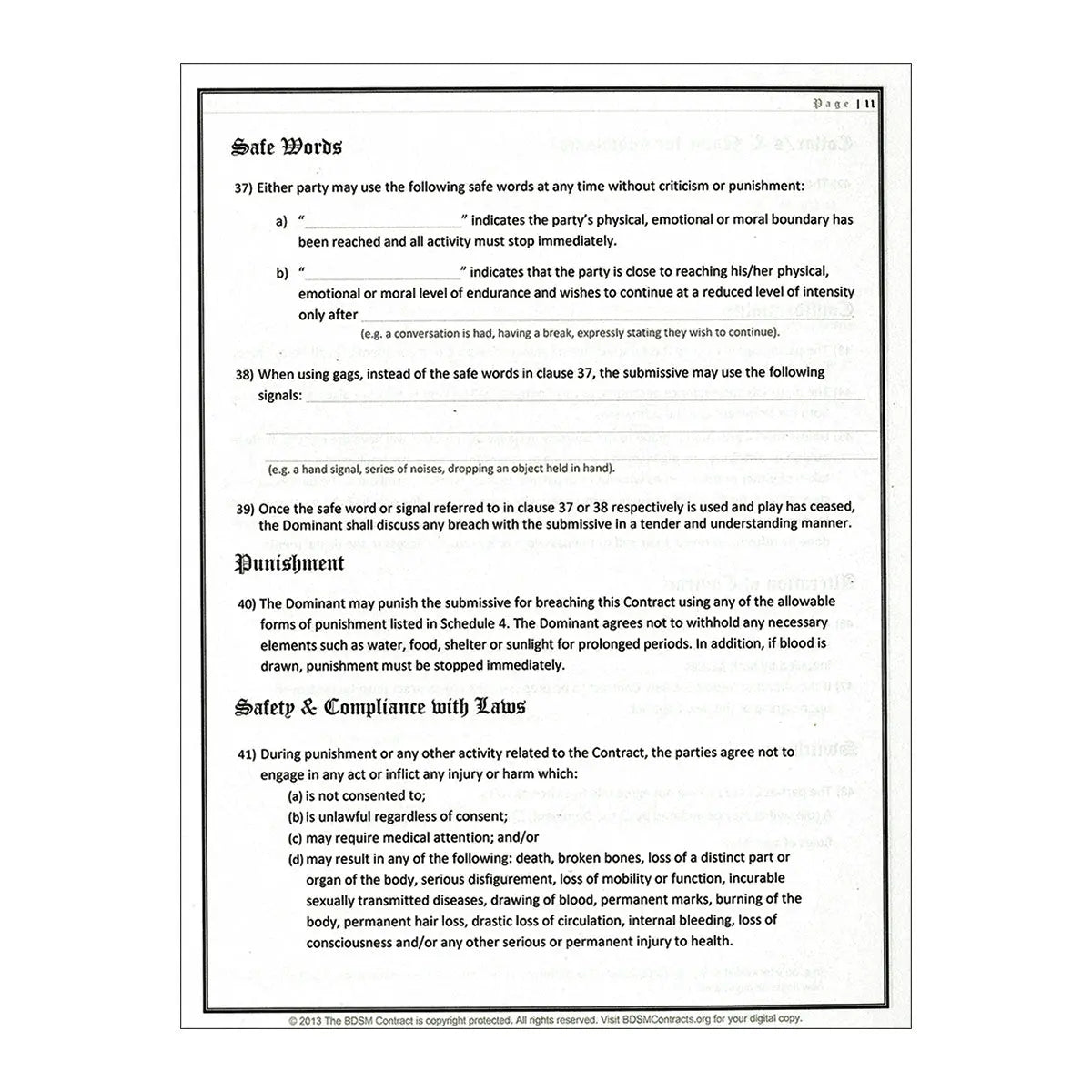 BDSM Contract Bednar International