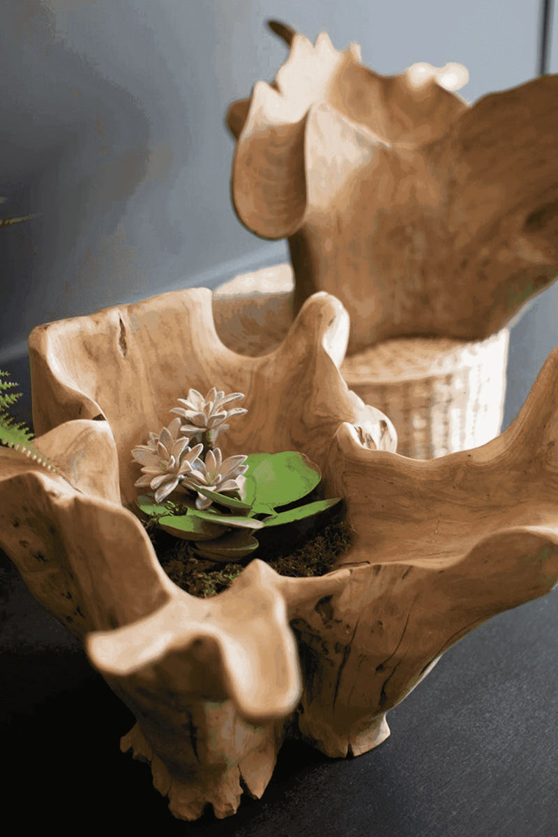 Natural wood decorative planter, sculptural design, light brown finish, features greenery for a rustic aesthetic.
