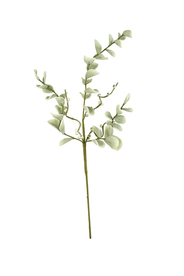 BOTANICA #2496 Kalalou