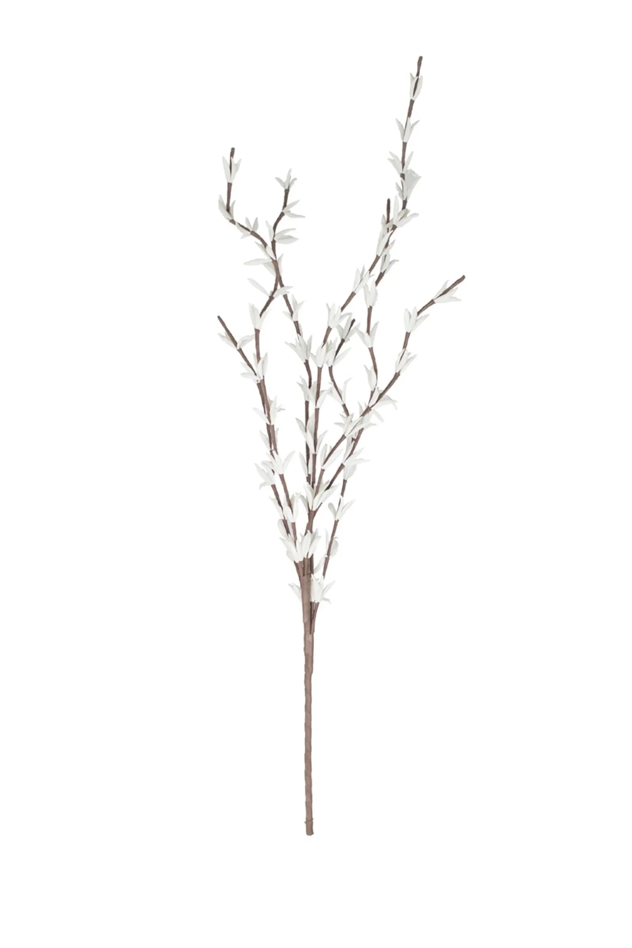 BOTANICA #914 Kalalou