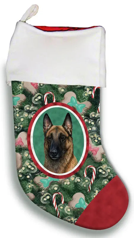 Belgian Malinois - Best of Breed Christmas Stockings Best of Breed