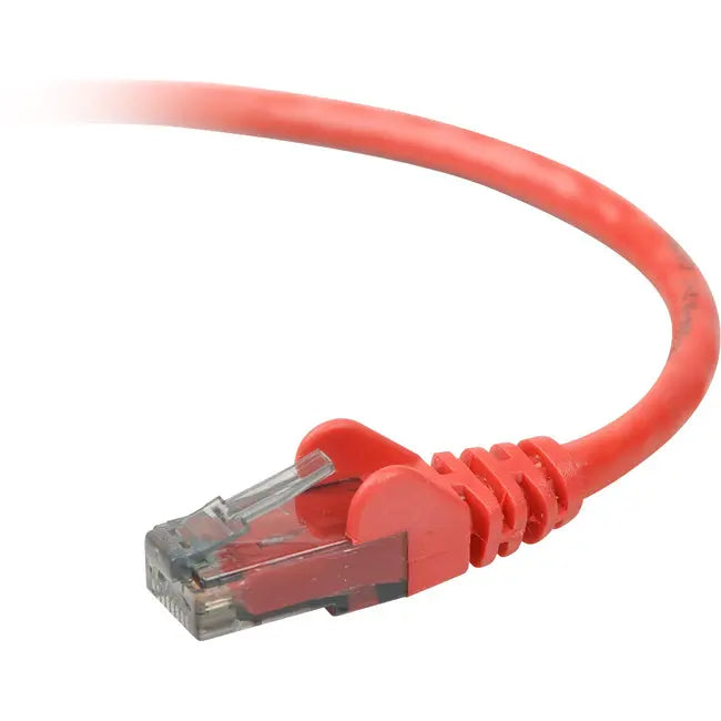 Belkin Cat. 6 UTP Patch Cable Belkin International, Inc